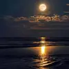 Jackson simms - @jackson.simms - TikTok