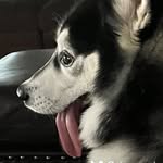 Jackson singh yadav - @jacksonsinghyadav - Instagram
