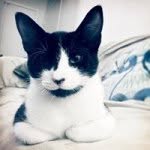 Jackson Singleton - @jacksonbear316 - Instagram