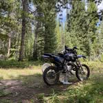 Jackson Singleton - @jackson_singleton3 - Instagram