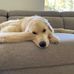 Jackson Skinner - Facebook