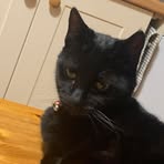 Jackson Snell - Facebook
