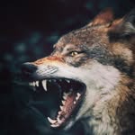 Jackson Spooner - @ralph_hacker8 - Instagram