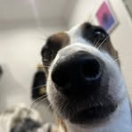 Jackson Spooner - Facebook