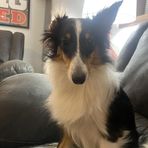 Jackson Stark - Facebook