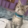 jacksonstarks2 - @jackson.starks.is.here - TikTok