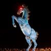 Jackson Stearns - @blazin_bronco - TikTok
