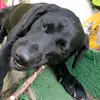 Jackson stempniak - @jackson.stempaink - TikTok