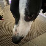 Jackson_Stickney - @jackson_stick07 - Instagram