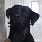 jackson storm - @jackson__storm_ - Instagram