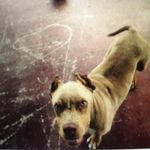 Jackson Strickland - @jax_strickland8 - Instagram