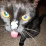 Jackson Stringer - Facebook