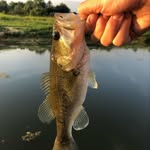 Landon - @jackson_stringers_dad - Instagram