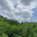 Jackson Strong - @jackson_strong54 - Instagram