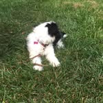 Jackson Strong - @jackson.strong6360 - Instagram