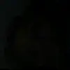 Jackson Stuart - @jackson23366 - TikTok