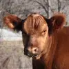 jacksonstumpenhau - @jacksonstumpenhau - TikTok
