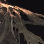 Jackson Sullivan - @jackson_______sullivan_______ - Instagram