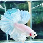 Jackson Sutton - @derah984 - Instagram