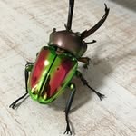 Jackson Sutton - @beetles.12 - Instagram