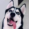 Jackson.Tang - @jackson.tang - TikTok