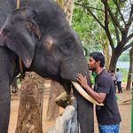 Jackson Thangaraj - @jackson_thangaraj - Instagram