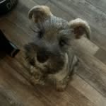 Jackson - @jackson_the_influencesta - Instagram