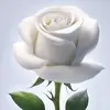 jacksonthein881 - @jacksonthein881 - TikTok