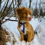 Jackson - @jackson.thetoller - Instagram