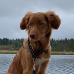 Jackson🏴‍☠️ - @jackson_thetoller - Instagram