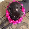 jacksontolle - @jacksontolle - TikTok