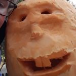 Jackson Townsend - @townsend_625 - Instagram