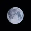 jacksontrotter968 - @jacksontrotter968 - TikTok