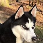 Jackson Valencia - @jackson.valencia.560 - Instagram