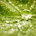 Jackson Vang - Facebook