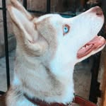 @jack.sonvega - Instagram