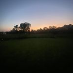 Jackson Wakefield - Facebook