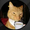 Jack - @jacksonwalter00 - TikTok