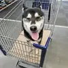 Walter Jackson - @walter.jackson14 - TikTok