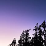Jackson waters - @jackson_waters782 - Instagram