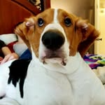 jackson waters - @jack_da_hound - Instagram