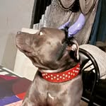 Jackson Watson - @jackson065616 - Instagram