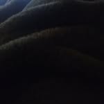 Jackson Whitfield - @whitfield.jackson - Instagram