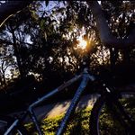 Jackson Wilkins 13 - @jackson_wilkins1 - Instagram