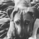 Jackson_yates - @jackson_yates__ - Instagram