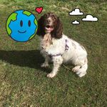 Jacky Ann Holmes - @holmesjackyann63 - Instagram
