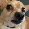 jackyjones123 - @jackyjones123 - TikTok