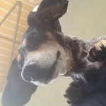 Jacky Miller - @jackymiller230 - Instagram