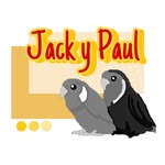 • Ꮎ [Jack & Paul] - @jack_y_paul - Instagram