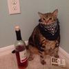 jackyrobinson7012 - @jackyrobinson7012 - TikTok